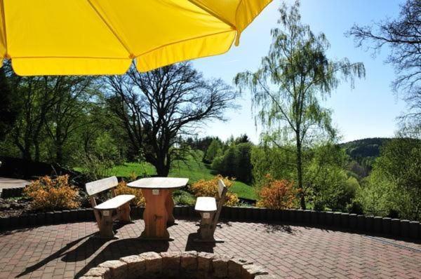 בראונלאגה Wohnung In Hohegeiss Mit Grill Und Garten מראה חיצוני תמונה